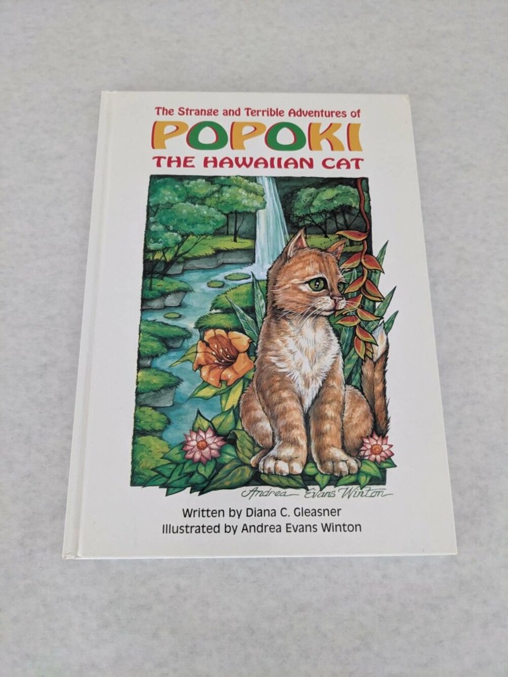 The Strange and Terrible Adventures of Popoki The Hawaiin Cat 1996